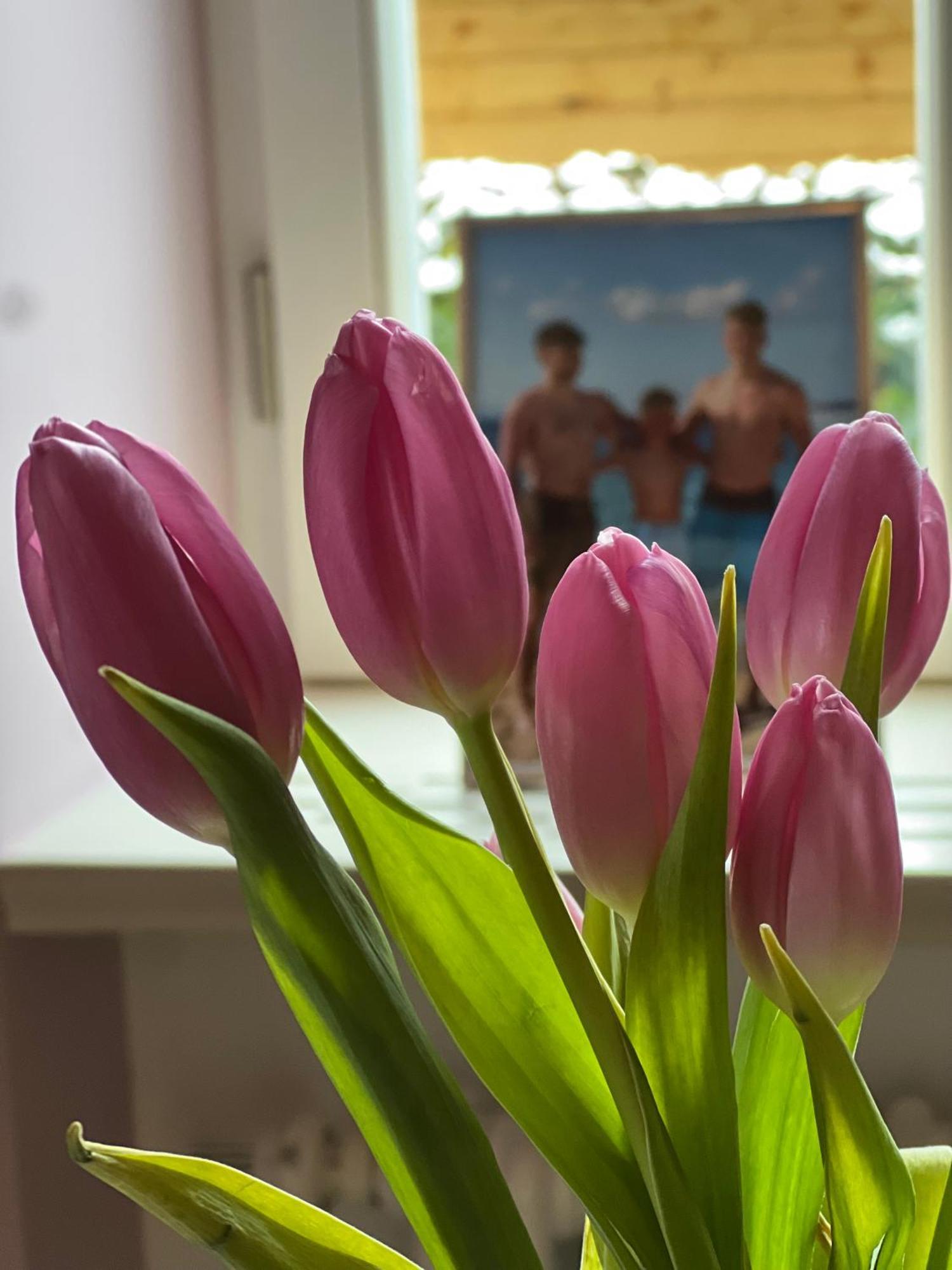 Vila Alice Bled - Adults Only Bagian luar foto