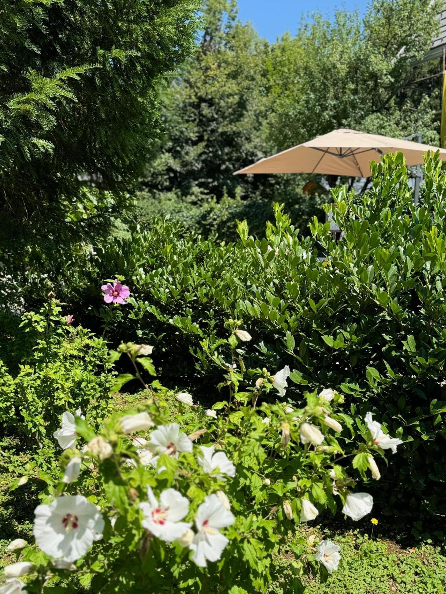 Vila Alice Bled - Adults Only Bagian luar foto